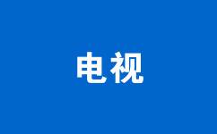 電視